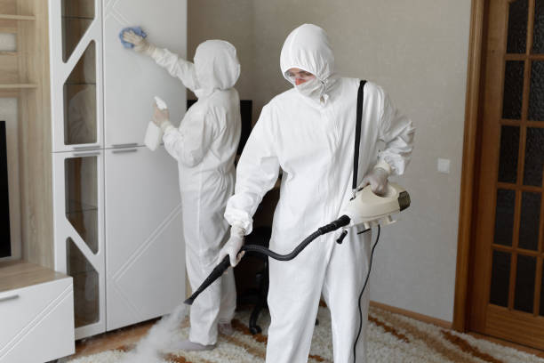 Affordable Infectious Disease Decontamination solutions in Ferndale, CA